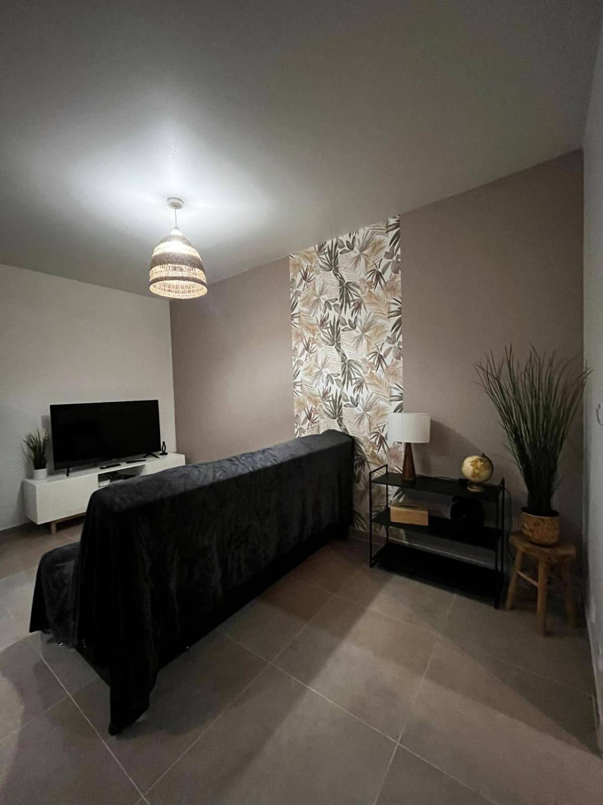 Appartement Des Carmes Nîmes Esterno foto